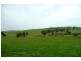 Blayney NSW 2799