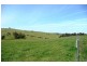 Blayney NSW 2799