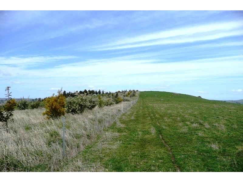 Blayney NSW 2799