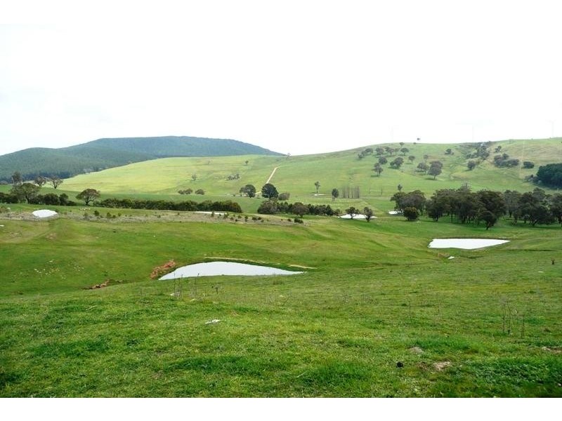 Blayney NSW 2799