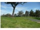 Orange NSW 2800