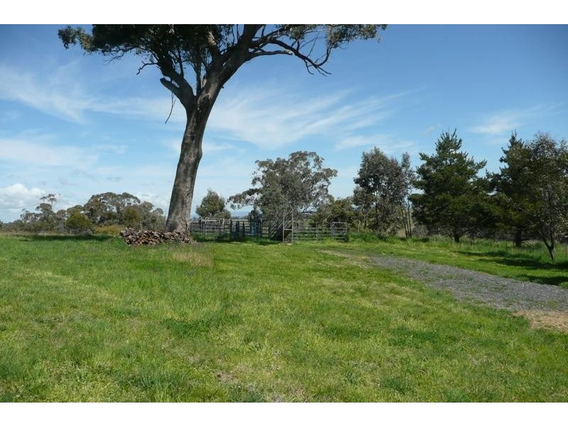 Orange NSW 2800