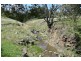 Orange NSW 2800