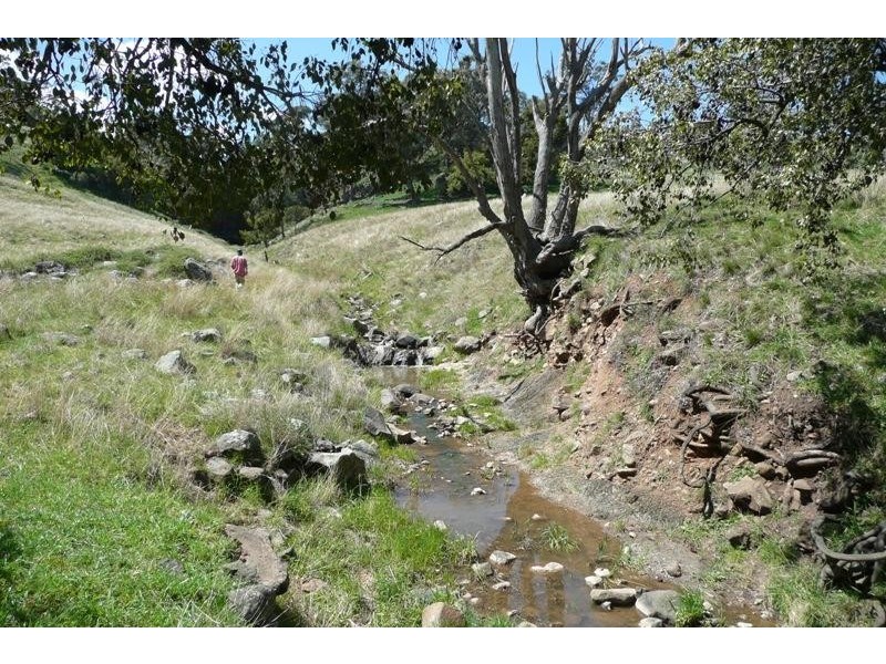 Orange NSW 2800