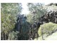 Orange NSW 2800