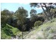 Orange NSW 2800
