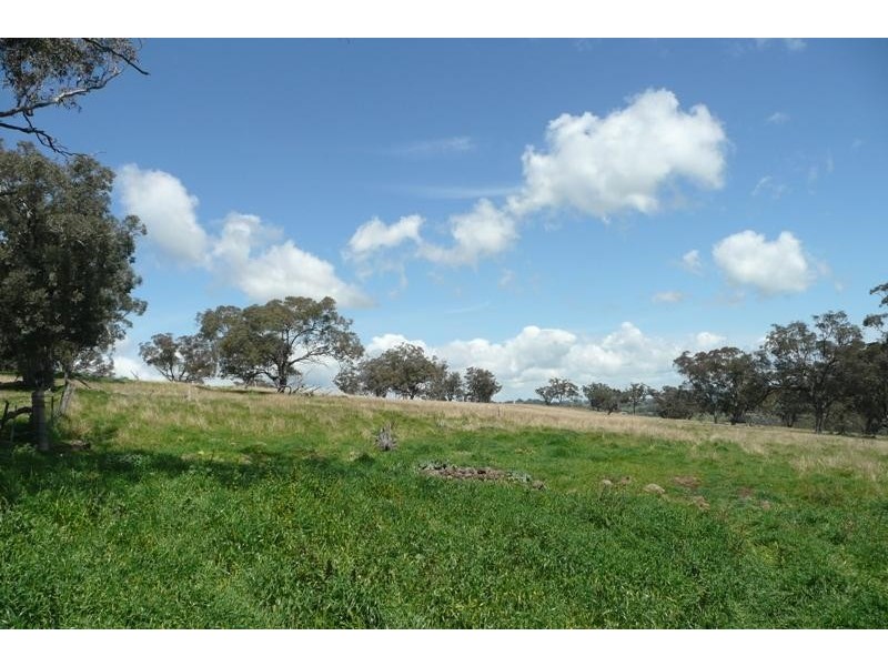 Orange NSW 2800
