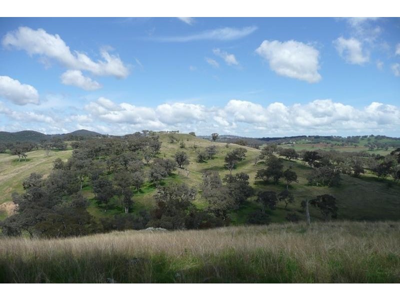 Orange NSW 2800