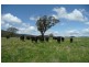 Orange NSW 2800
