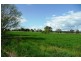 Molong NSW 2866