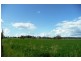 Molong NSW 2866