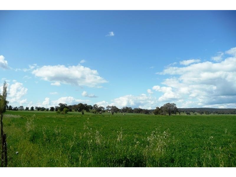Molong NSW 2866