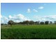 Molong NSW 2866