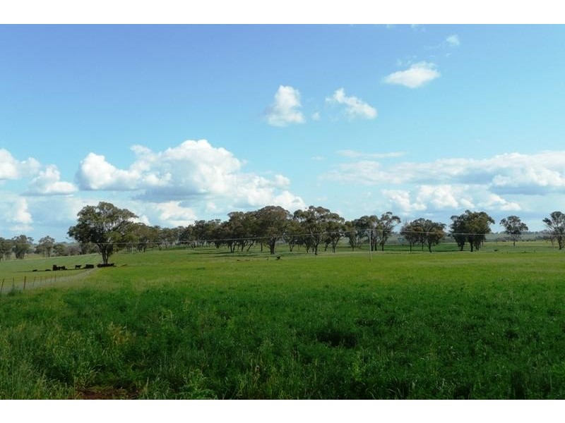 Molong NSW 2866