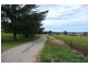 Molong NSW 2866
