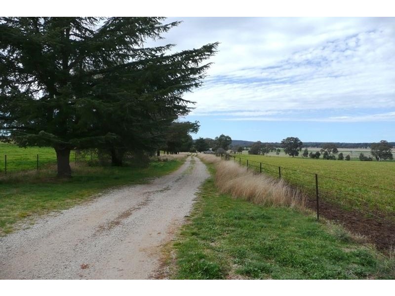 Molong NSW 2866