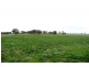 Molong NSW 2866