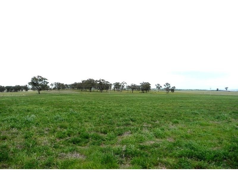 Molong NSW 2866