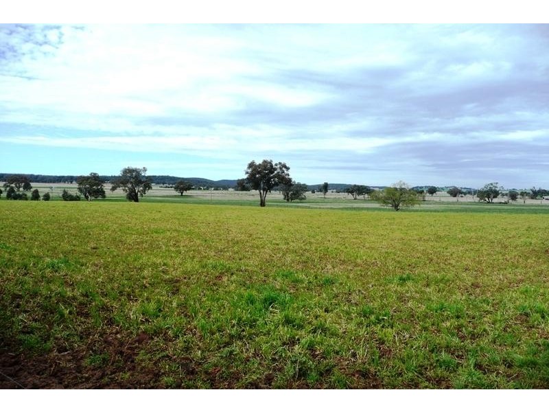 Molong NSW 2866