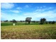 Molong NSW 2866