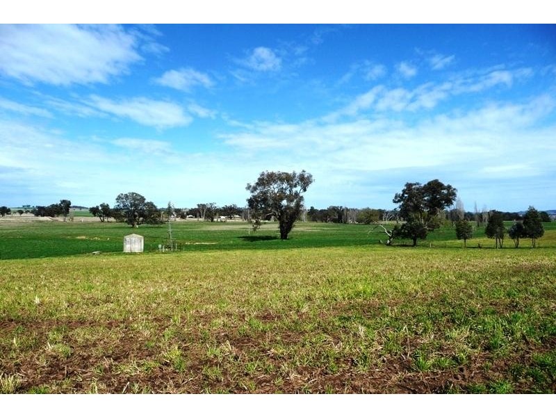Molong NSW 2866