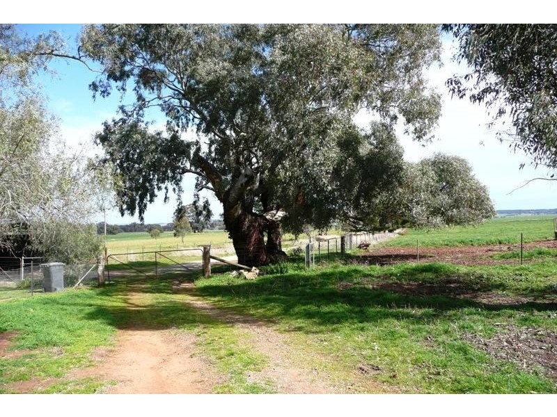 Molong NSW 2866