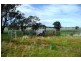 Molong NSW 2866