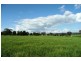 Molong NSW 2866