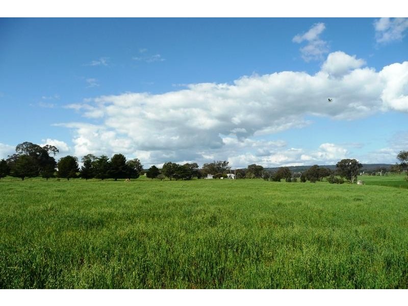 Molong NSW 2866