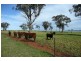 Molong NSW 2866