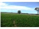 Molong NSW 2866
