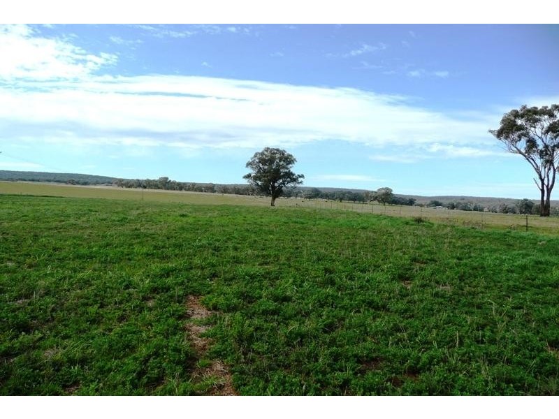 Molong NSW 2866
