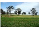 Molong NSW 2866