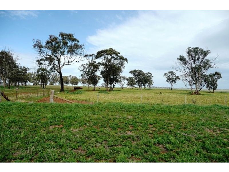 Molong NSW 2866