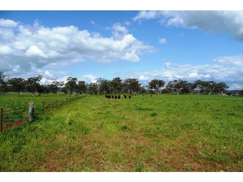 Molong NSW 2866