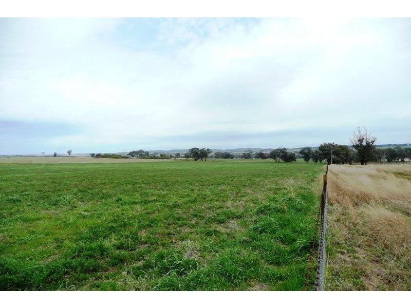 Molong NSW 2866