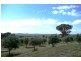 Canowindra NSW 2804