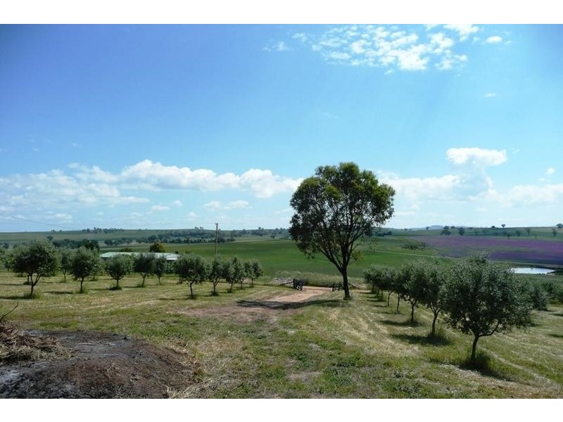 Canowindra NSW 2804