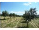 Canowindra NSW 2804
