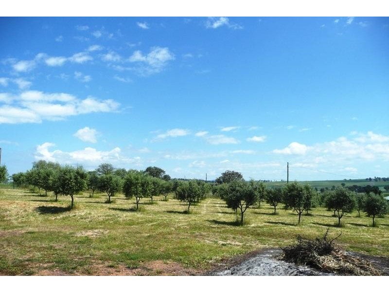 Canowindra NSW 2804