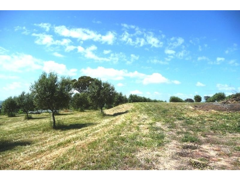 Canowindra NSW 2804