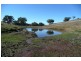 Euchareena NSW 2866