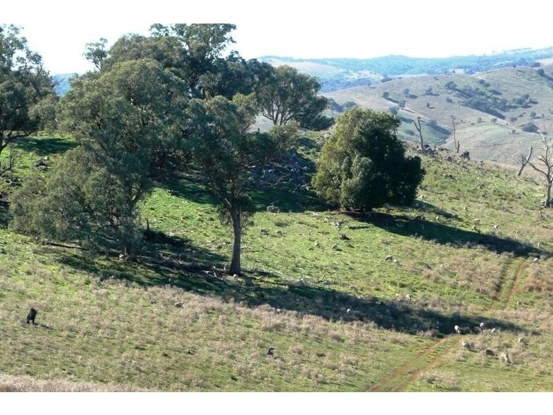 Euchareena NSW 2866