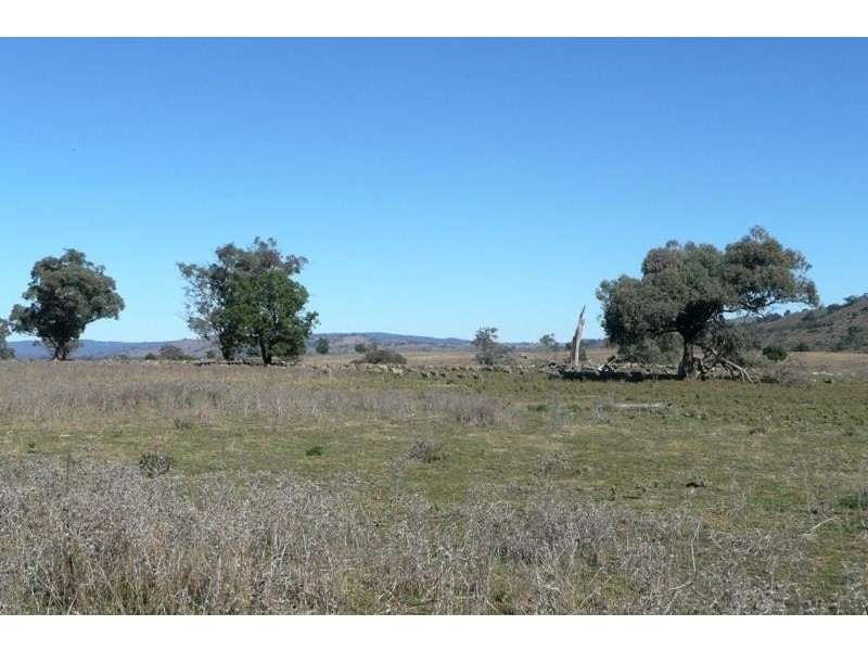 Euchareena NSW 2866