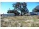 Euchareena NSW 2866