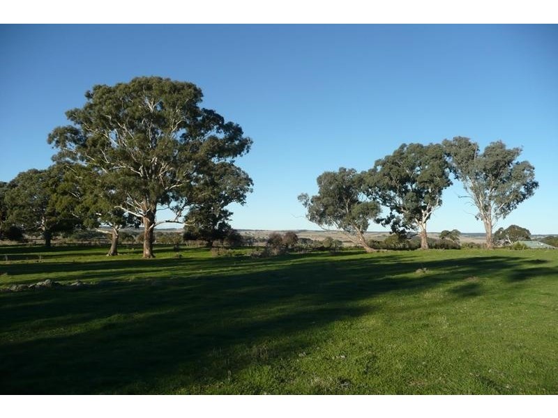 Blayney NSW 2799