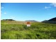 Orange NSW 2800