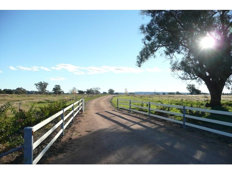 5845 Canowindra  Rd, Cudal NSW 2864