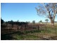 5845 Canowindra  Rd, Cudal NSW 2864