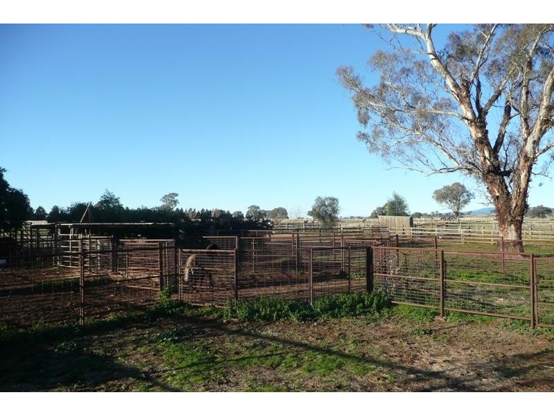 5845 Canowindra  Rd, Cudal NSW 2864